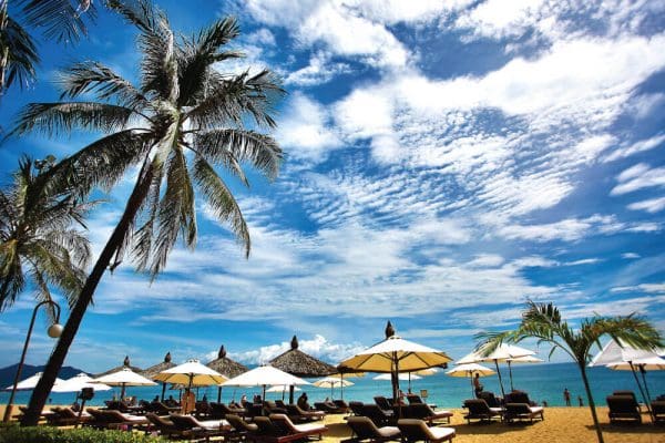 people relaxing on the beach
